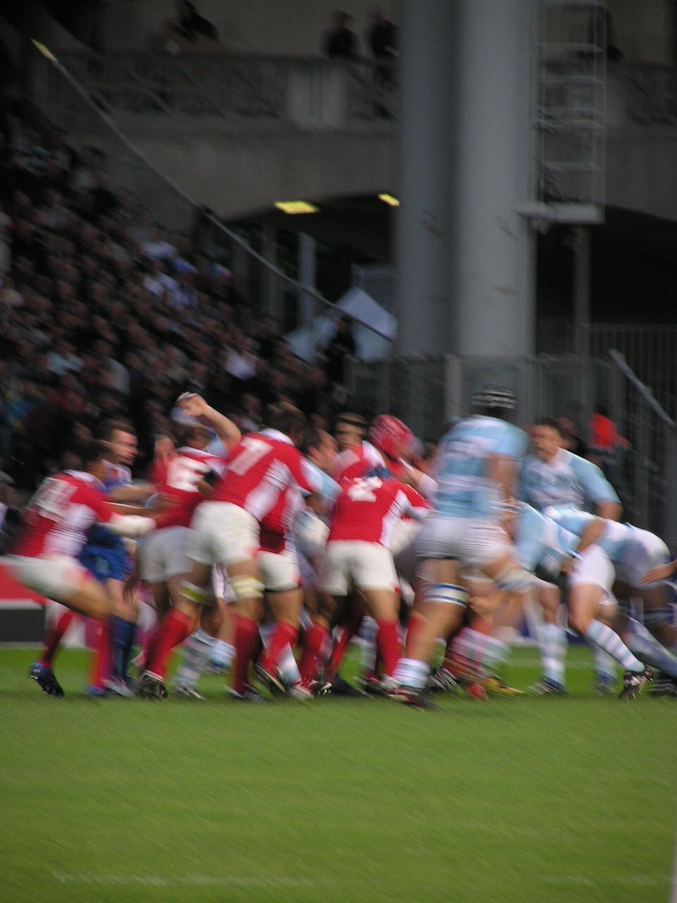 P9110114.JPG