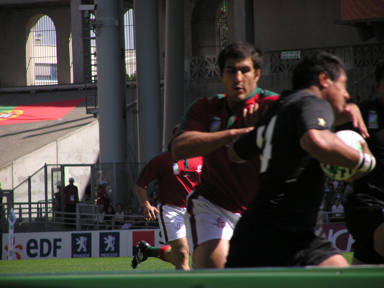P9150173.JPG
