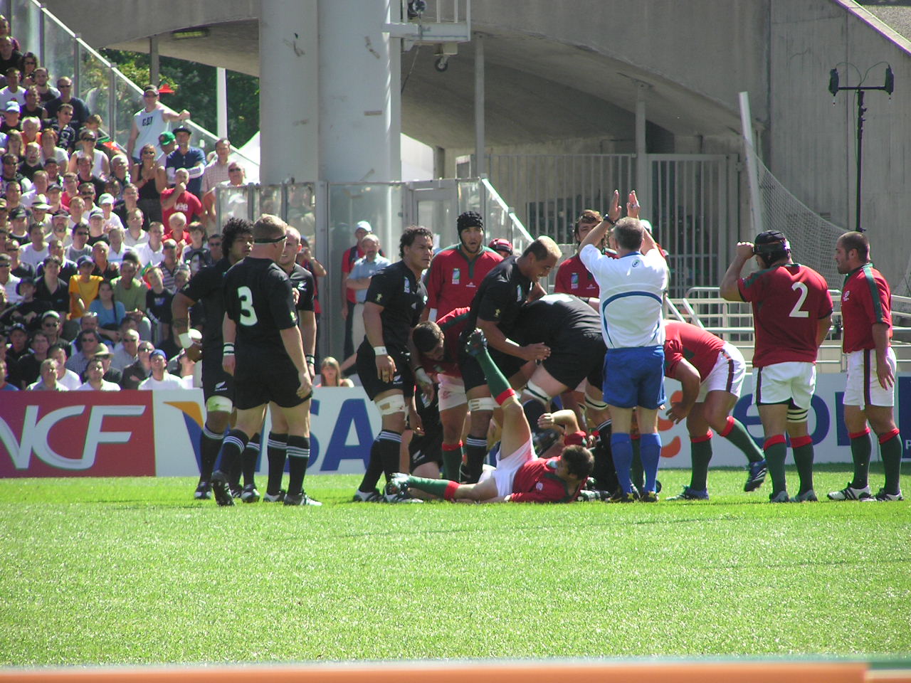 P9150186.JPG