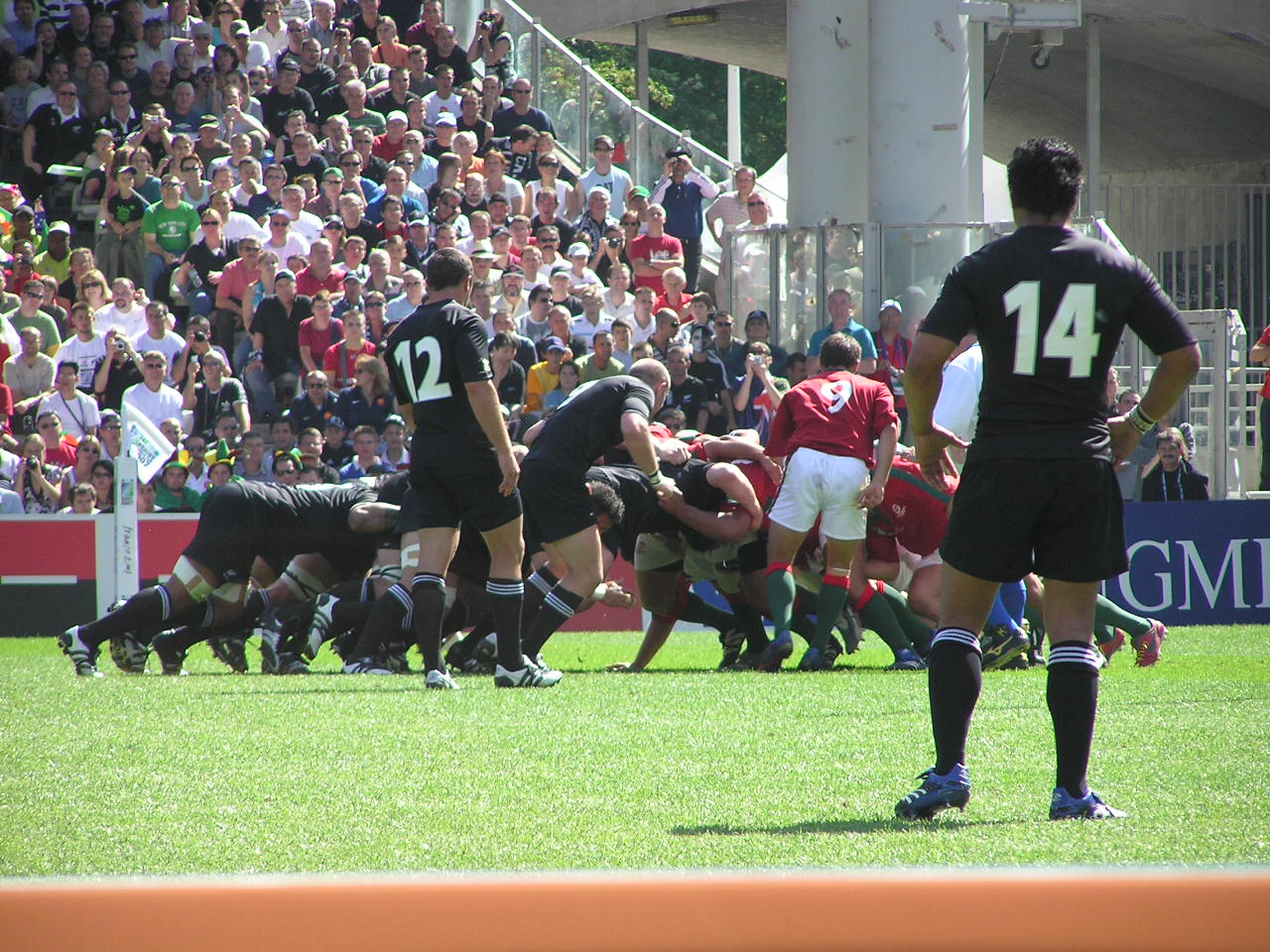 P9150187.JPG