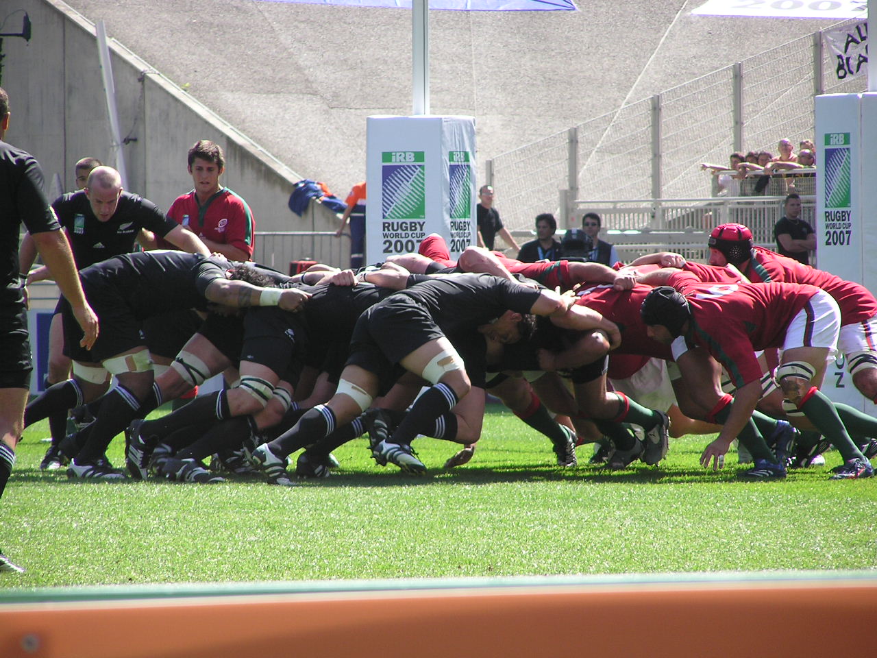 P9150198.JPG