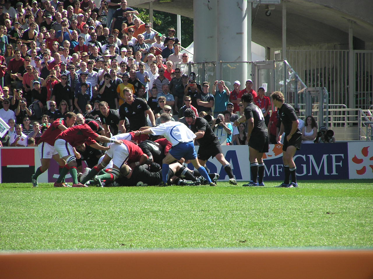 P9150254.JPG