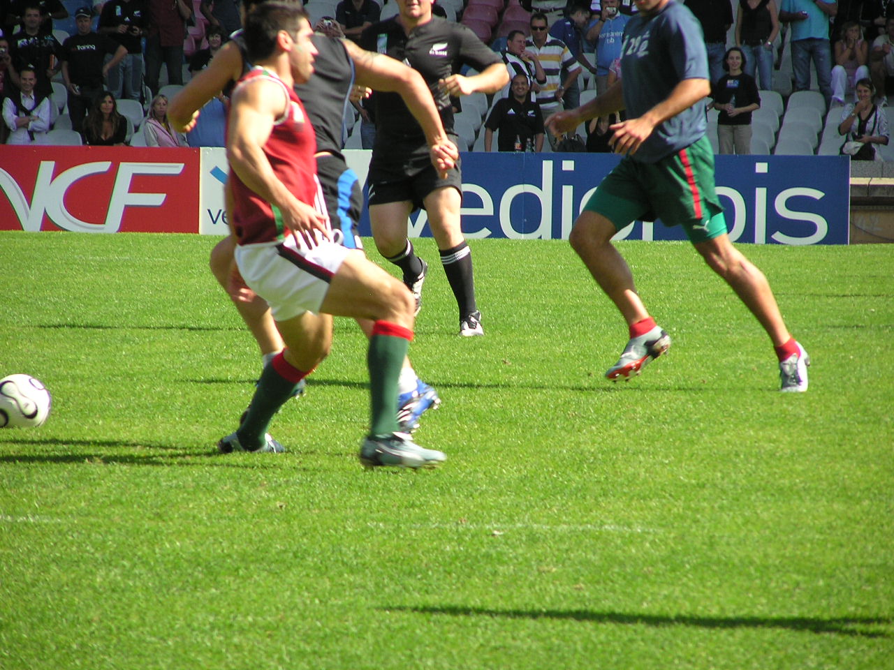 P9150324.JPG